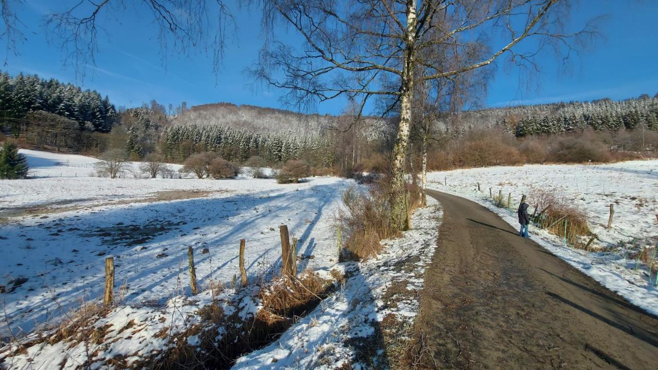 Enjoy Winterberg Leilighet Eksteriør bilde